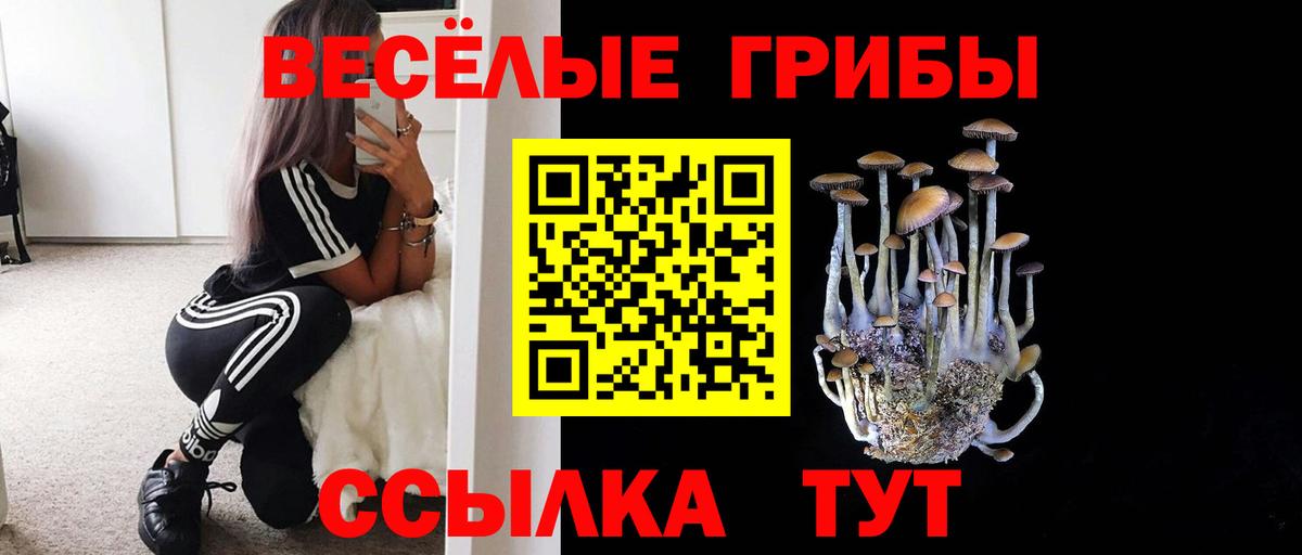 Псилоцибиновые грибы Psilocybine cubensis Урюпинск
