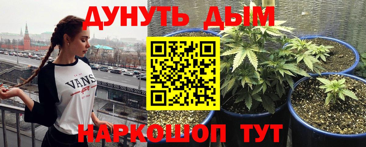 Канабис планчик Урюпинск